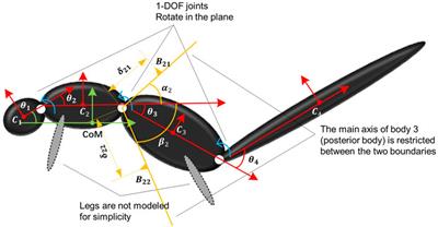 On the dynamics and control of a squirrel locking its head/eyes toward a fixed spot for safe landing while its body is tumbling in air